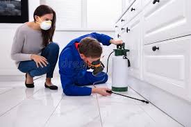 Real Estate Pest Inspections in Deans, NJ